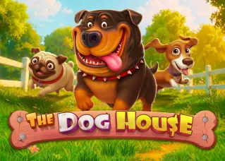 The Dog House nova88